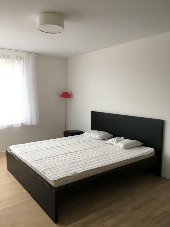Close To Zuerich Centre And Airport Kloten Ngoại thất bức ảnh